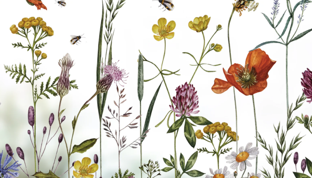 Embrace Whimsy & Creativity: Discover Top Trending Designs at Dizzy Duck Designs