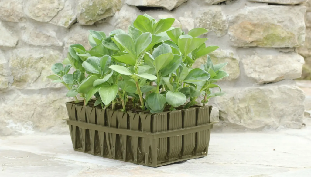 Cultivate Your Green Oasis: Discover Top Trending Natural Gardening Solutions at Gardening Naturally