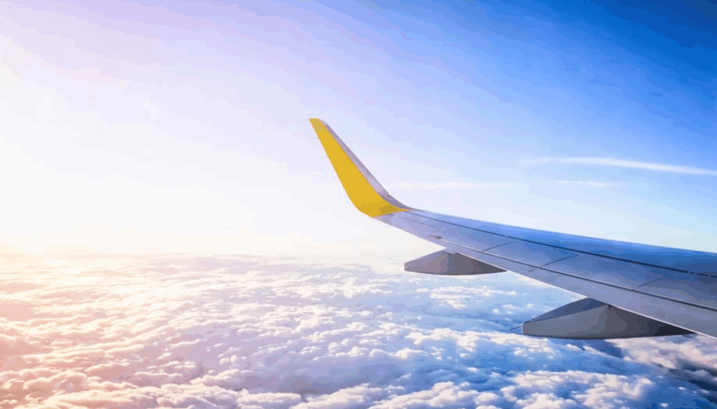 Fly Smart, Travel Affordable with Vueling.com